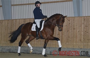 Katalog til 35-dages testen