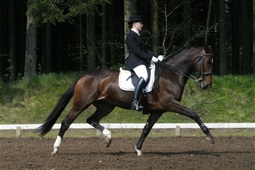 Se de mange billeder fra Mors&oslash;