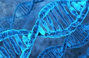 Obligatorisk DNA-test for WFFS