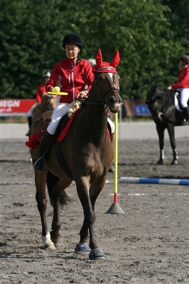 Landsfinalerne 2008 i billeder og resultater