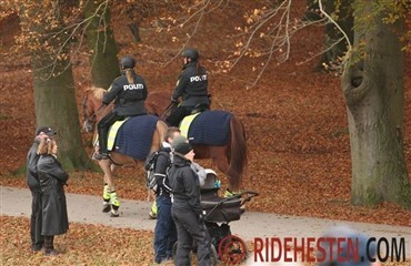 St&oslash;t det ridende politi