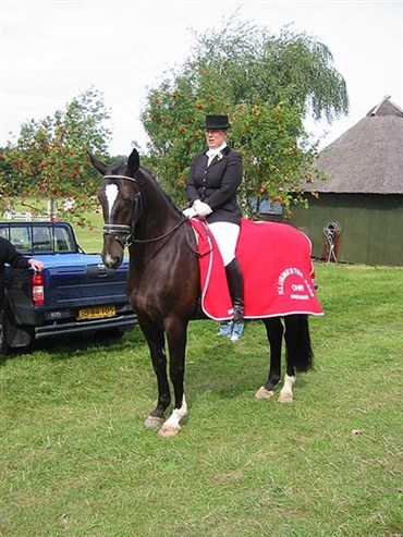 Hest stj&aring;let i ly af natten