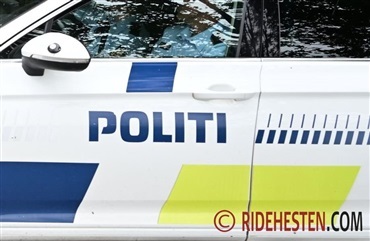 Seksuelle overgreb p&aring; heste i V&aelig;rl&oslash;se