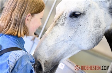 Forskning bek&aelig;mper tavshedskultur