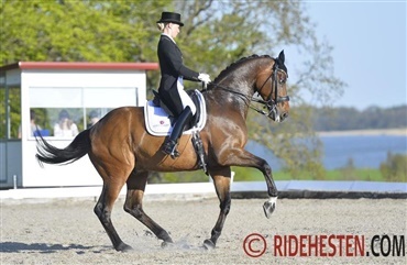 Flot ridning i Finland 