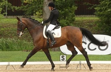 Handicaplandshold i Frankrig