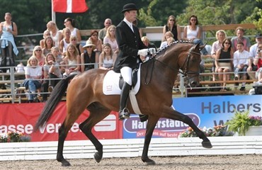 Dansk succeshest til start i Frankrig