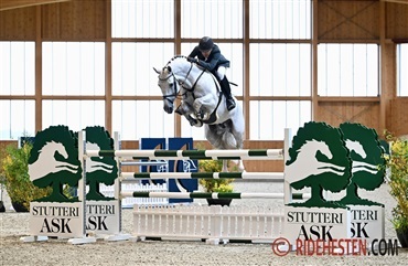 Ecco og Stutteri Ask st&oslash;tter op om popul&aelig;rt st&aelig;vneinitiativ