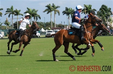 Polo – en sport med stil og styrke