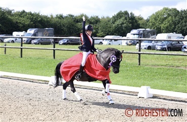 EM-pony til Steffanie Dyrlund