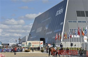 Skal du til hingstek&aring;ring i Boxen?