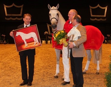 &Aring;rets hingst 2008 Casir Ask DVE 497