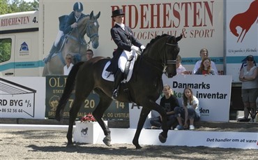 Perwoy starter Grand Prix i Sverige