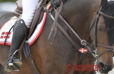 S&aring; g&aring;r det snart l&oslash;s med DM p&aring; Riders Cup 