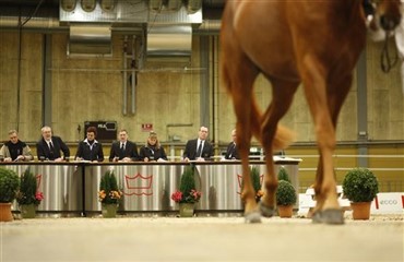 Avleraften i Region 4