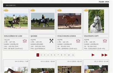 Find tophesten p&aring; Ridehesten.com