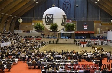 Tilbageblik p&aring; en gigantisk succes