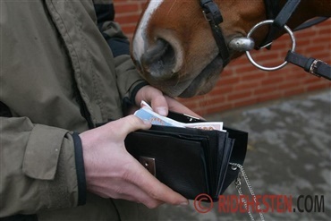 FEI dommer beskyldt for snyd i hestehandel