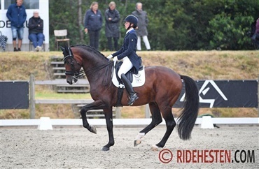 International klasse i Hjallerup