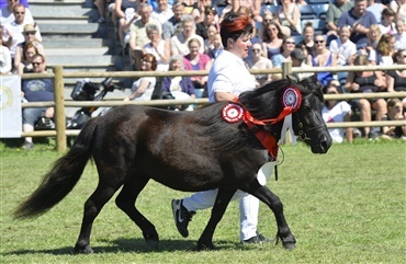 Suver&aelig;n sejr til 3-&aring;rs hoppe i f&aelig;lleskonkurrencen