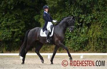 Sublime Sophia i top 2x i dag