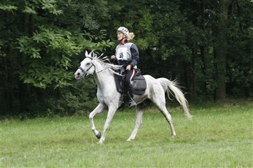 Nordisk/Baltisk mesterskab i distance