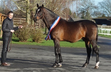 Diamant de Semilly fylder 30 &aring;r