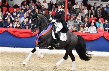 Total Hope &aring;rets oldenburger-hingst