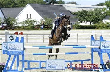 Fuers&oslash; Rideklub bedst i Walber Cup