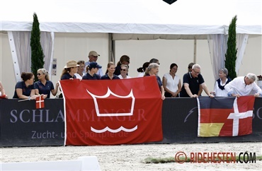 Dansk Varmblod er verdens fjerde bedste