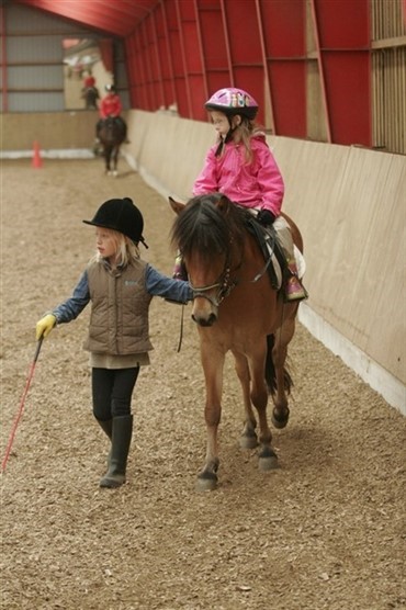 Flere medlemmer i Dansk Ride Forbund