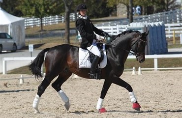 Ny hest til Annika Lykke Dalskov
