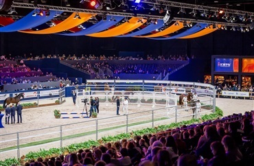 KWPN-hingstek&aring;ring er startet