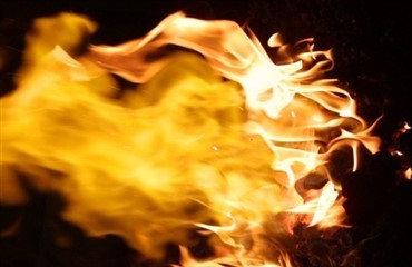 To heste d&oslash;de i brand