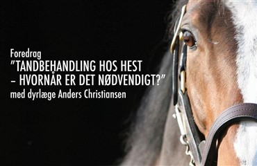 Tandbehandling hos hest - foredrag