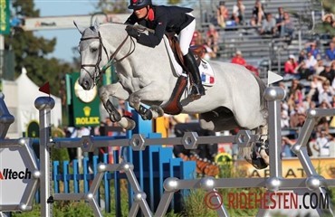 Elitehingste p&aring; auktion