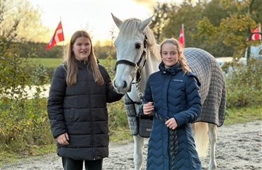 Pony solgt p&aring; f&oslash;rste henvendelse