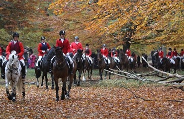 Hubertusjagt 2010