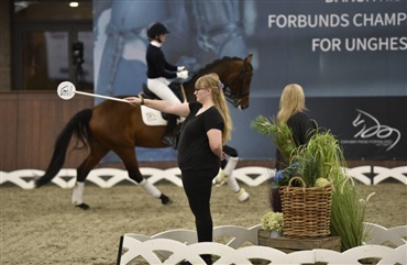 58.000 euro for dyreste hest p&aring; Blue Hors