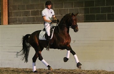 Helgstrand Dressage video