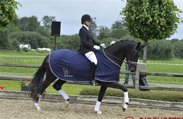 Blue Hors Dressurchampionat afgjort