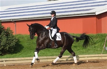 Endnu en weekend med Egnethedstests