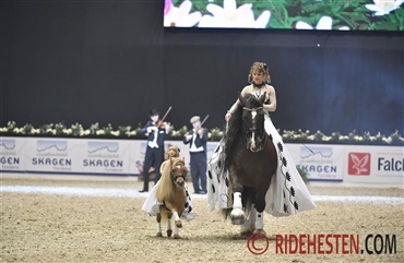 Sprudlende heste imponerede