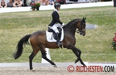 Finalisterne i Blue Hors Para Cup er fundet