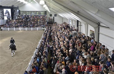 Helgstrand Dressage har &aring;bent hus