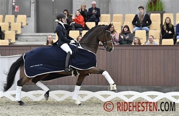 Finaledag ved Blue Hors Dressurfestival
