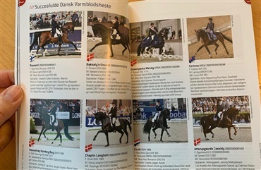 Sidste chance for at forudbestille Herningkatalog