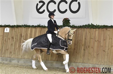 Topsp&aelig;nding i ECCO Cup finale