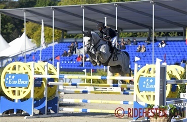 Laura placeret i Kronenberg