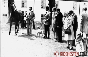Dengang Dronning Elizabeth fik en dansk hest